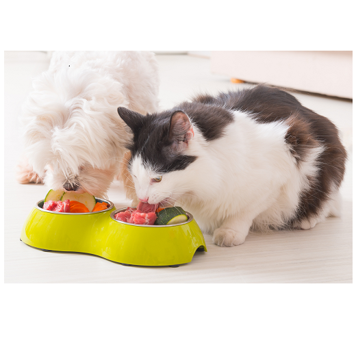 pet-food-1024x684.png