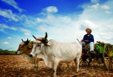 _INCSendBinary.jpg