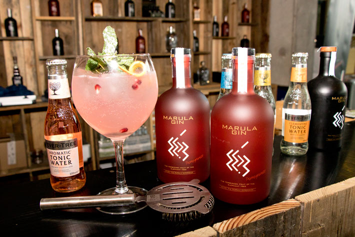 Gin-and-Spirits-Festival-Bart-Wuyts-Marula-Gin.jpg