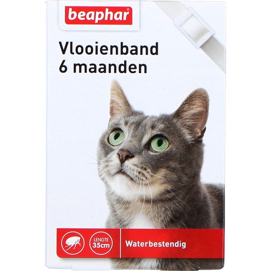 elanco-seresto-kat-2021.d649e1.jpg